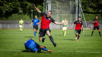 nyhed17-06.jpg