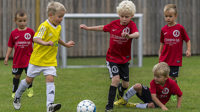ab_taarnby_sommer_cup.jpg