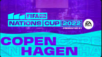 fifae.png